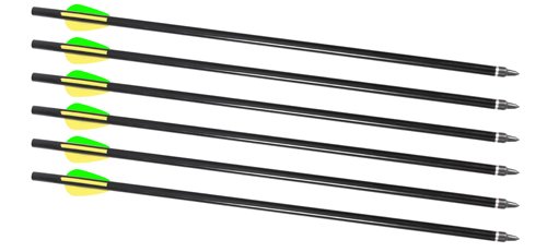 TRADITIONS FIREBOLT 2216 ARROW 6 PACK - FOR CRACKSHOT XBR